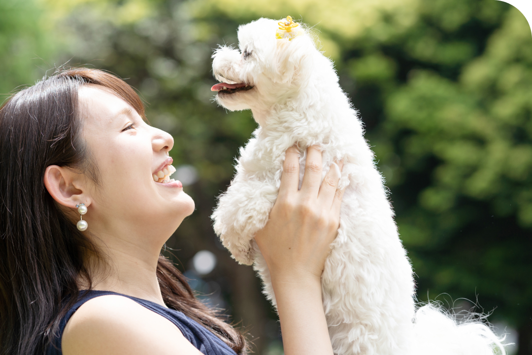 白い小型犬を抱き上げて笑顔で見つめる女性