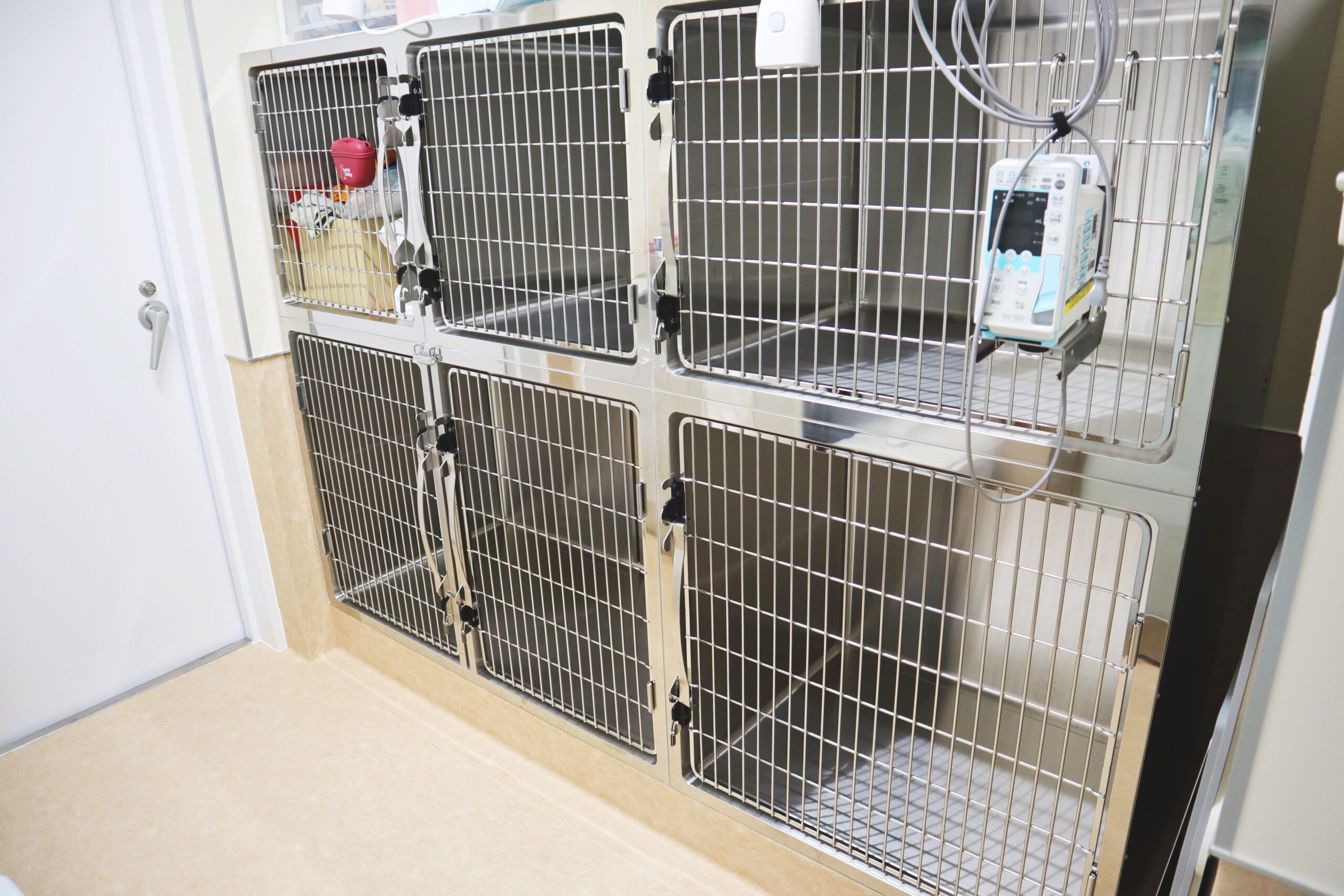 犬入院室